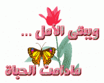 الصورة