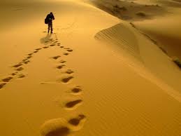 الاســـم:	images (8).jpg
المشاهدات: 99
الحجـــم:	4.3 كيلوبايت